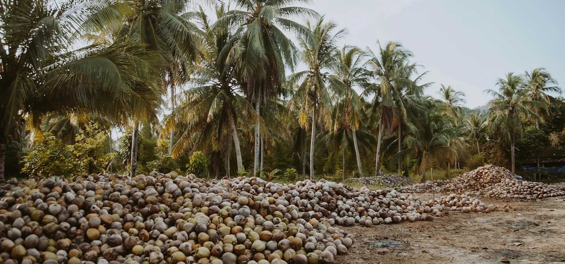 Anugrahcoco Indonesia Hero